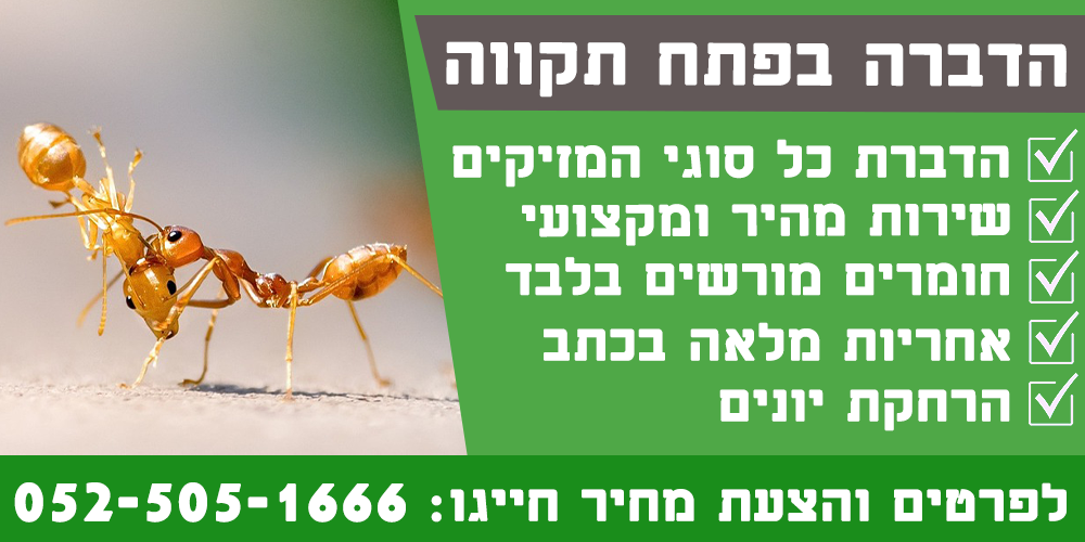 הדברת מזיקים בפתח תקווה