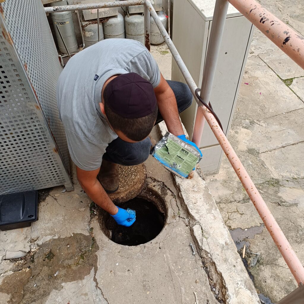 הדברה באלעד