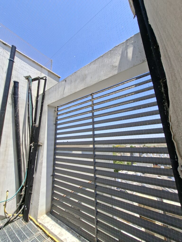 התקנת רשת יונים בראש העין