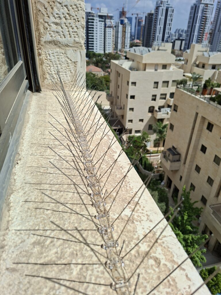 דוקרנים נגד יונים