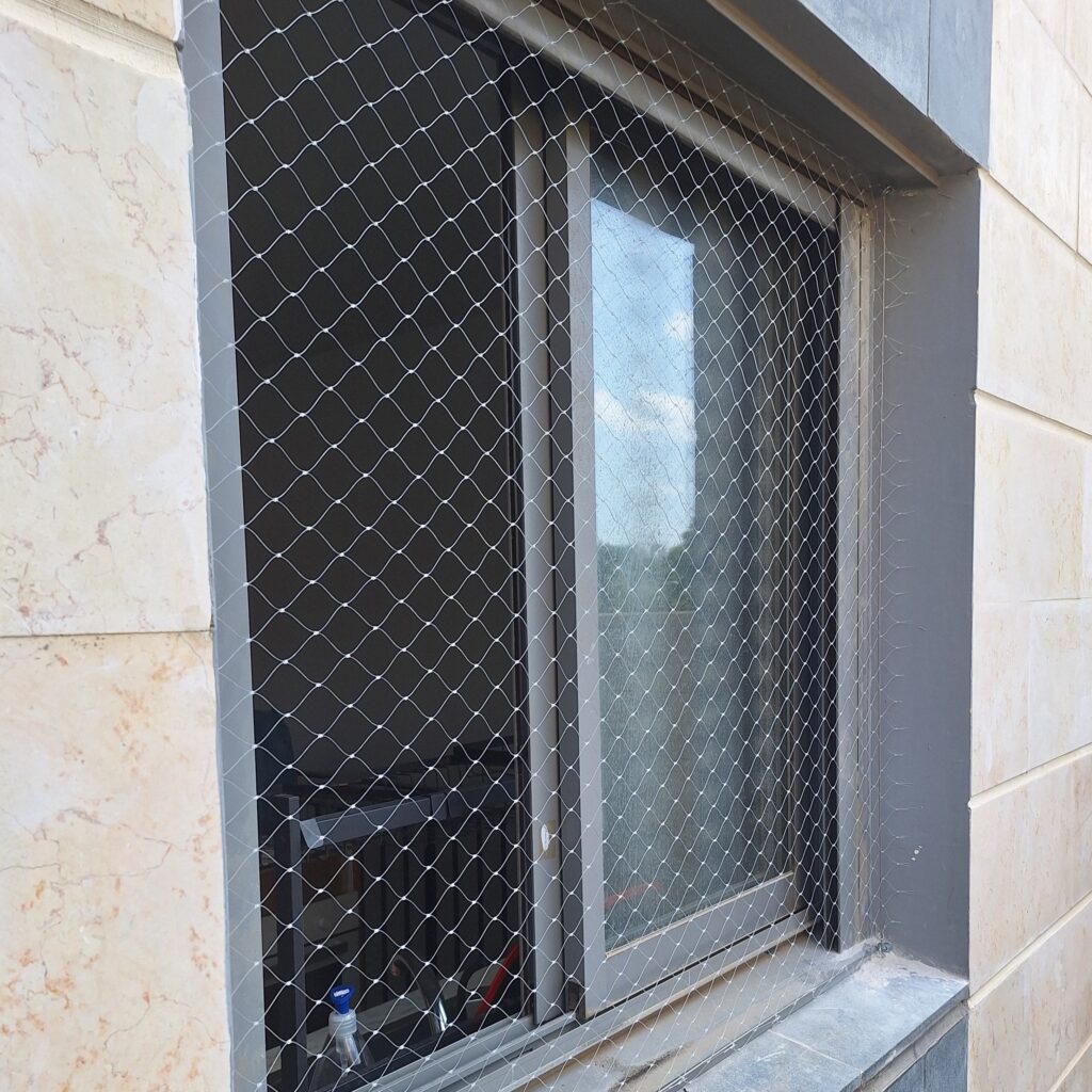 רשת חתולים בחלון