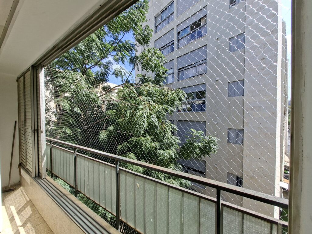 רשת חתולים לחלון