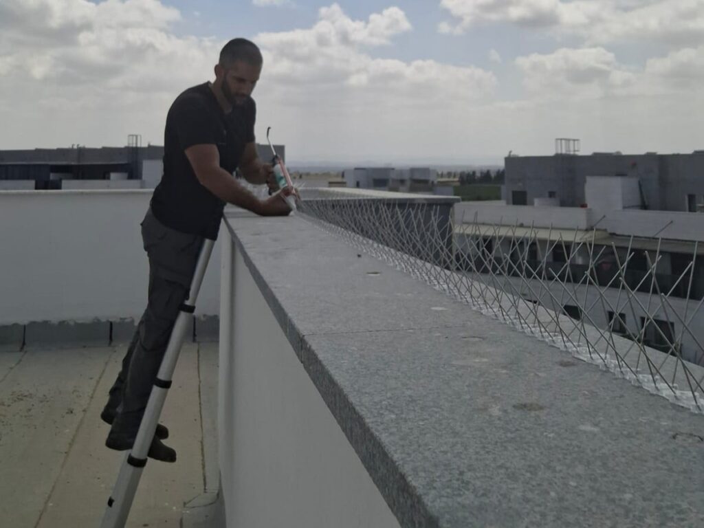 התקנת דוקרנים נגד יונים