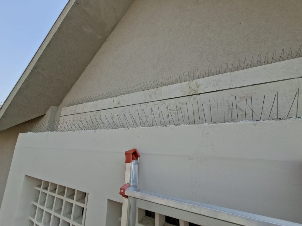 התקנת דוקרנים נגד יונים בגג