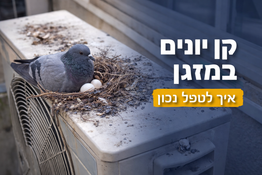 קן יונים במזגן