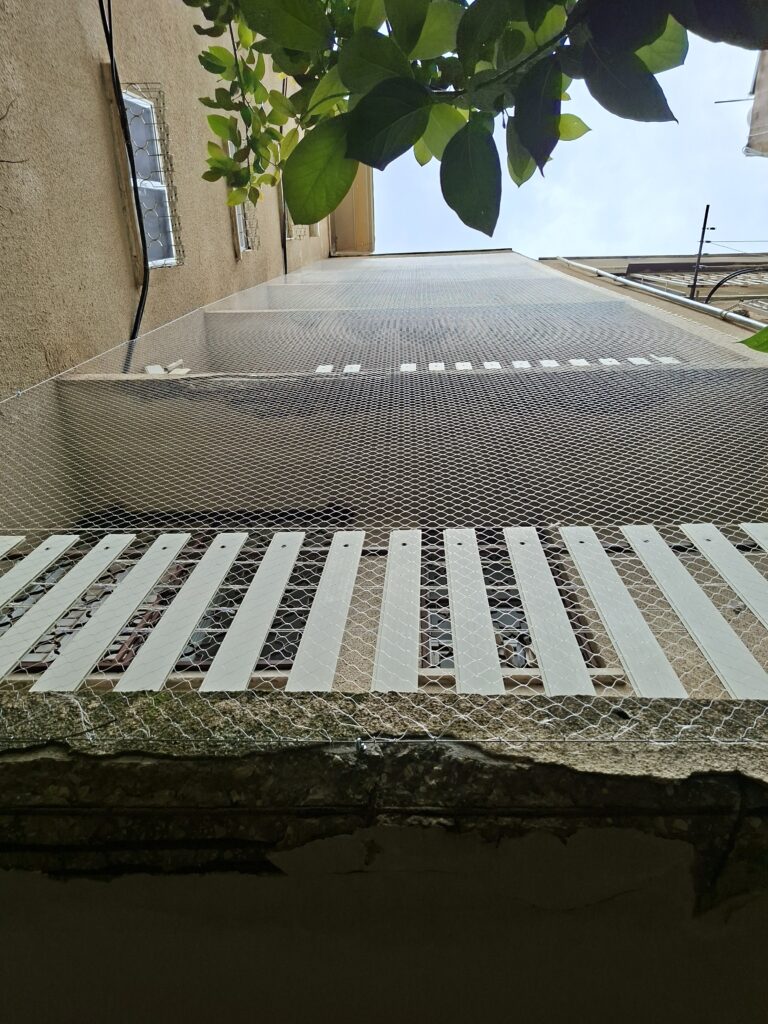 רשת יונים לבניין