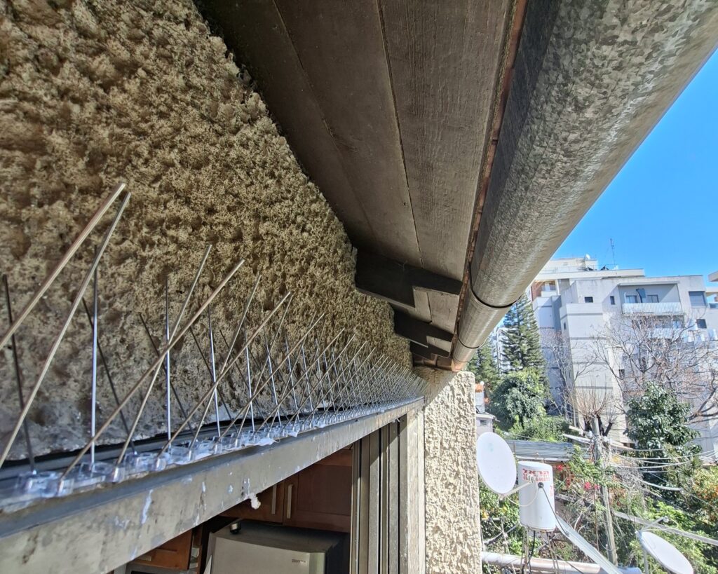 דוקרנים נגד יונים